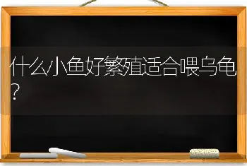 什么小鱼好繁殖适合喂乌龟？