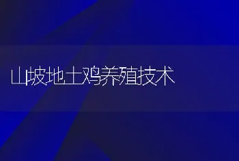 山坡地土鸡养殖技术