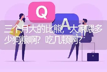 三个月大的比熊，大家喂多少狗粮啊?吃几顿啊？