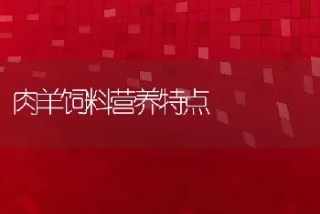 肉羊饲料营养特点