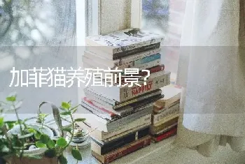 查理犬的特点？