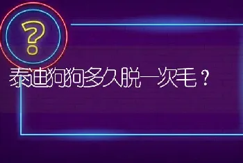 5 给金毛取名字，取什么最好叫又最好听呢？