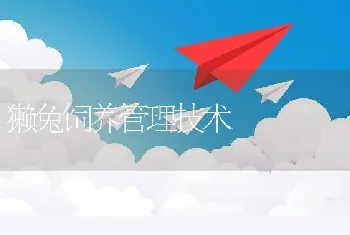 獭兔饲养管理技术