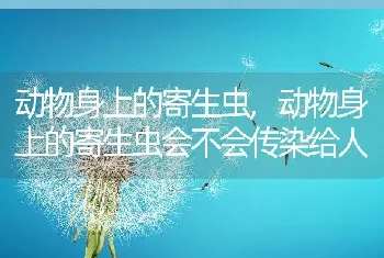 动物身上的寄生虫，动物身上的寄生虫会不会传染给人