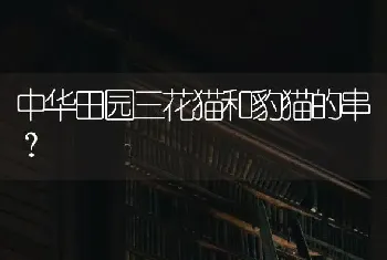 我家小狗身上起了些小疙瘩，痒流黄色东西，结痂不掉毛，食欲也没下降还能吃？