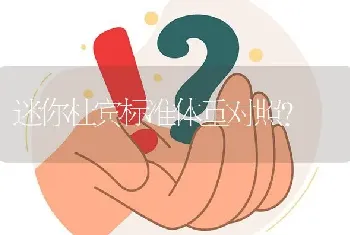 迷你杜宾标准体重对照？