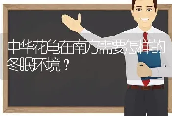 中华花龟在南方需要怎样的冬眠环境？