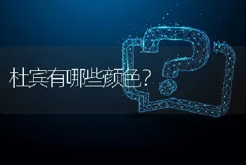 金毛出生的名字叫什么？