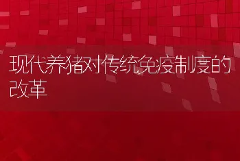 现代养猪对传统免疫制度的改革