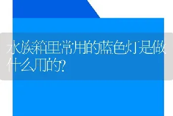 水族箱里常用的蓝色灯是做什么用的？