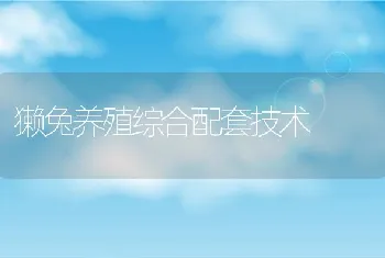 山鸡养殖常用的无机盐饲料