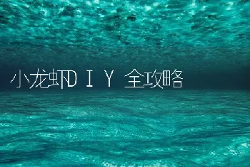 小龙虾DIY全攻略