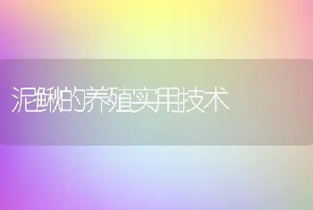 泥鳅的养殖实用技术