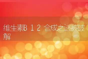 维生素B12合成之谜被破解