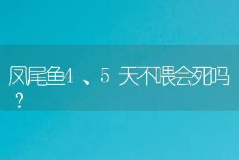 凤尾鱼4、5天不喂会死吗？