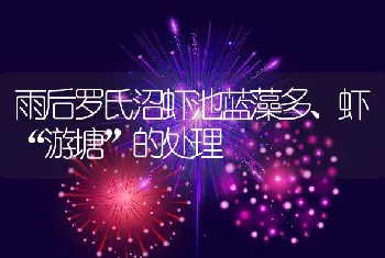 雨后罗氏沼虾池蓝藻多、虾游塘的处理