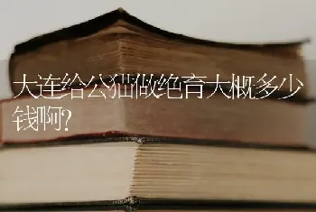 大连给公猫做绝育大概多少钱啊？