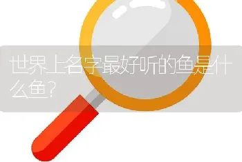 世界上名字最好听的鱼是什么鱼？