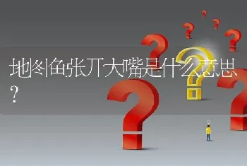 地图鱼张开大嘴是什么意思？