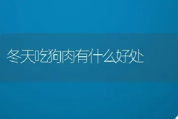 冬天吃狗肉有什么好处