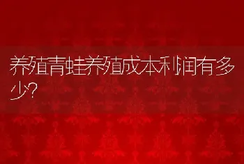 养殖青蛙养殖成本利润有多少？