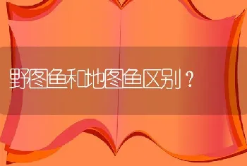 左边一个繁体的鱼字右边一个咸字读什么？“鱼咸”？