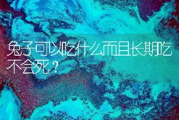 兔子可以吃什么而且长期吃不会死？