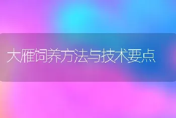 大雁饲养方法与技术要点