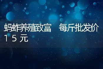 蚂蚱养殖致富 每斤批发价15元