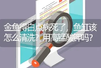 金鱼得白点病死了，鱼缸该怎么清洗？用高锰酸钾吗？