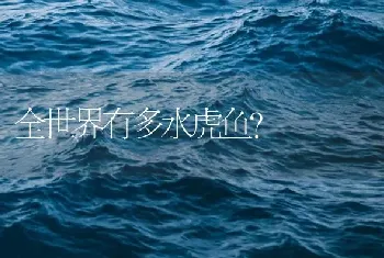 全世界有多水虎鱼？