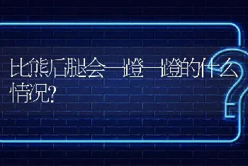 比熊后腿会一蹬一蹬的什么情况？