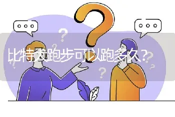 比特犬跑步可以跑多久？