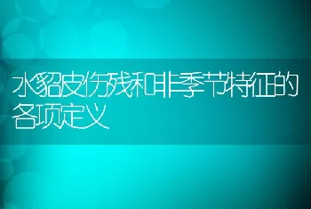 水貂皮伤残和非季节特征的各项定义