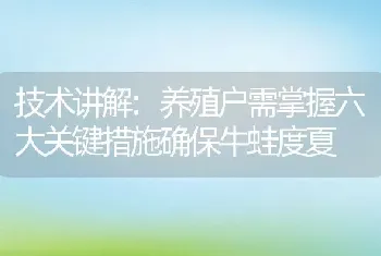 技术讲解:养殖户需掌握六大关键措施确保牛蛙度夏