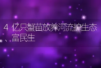 4亿只蟹苗放养河流护生态、富民生