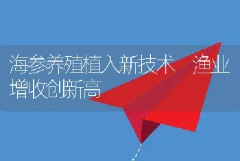 海参养殖植入新技术渔业增收创新高