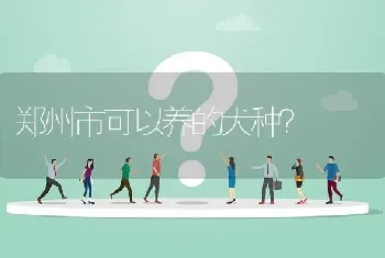 郑州市可以养的犬种？