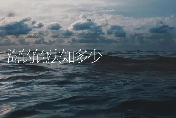 海钓钓法知多少