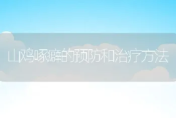 山鸡啄癖的预防和治疗方法