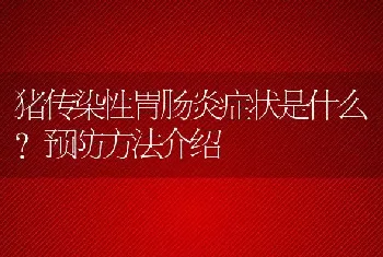 猪传染性胃肠炎症状是什么？预防方法介绍