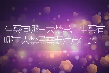 生菜有哪三大禁忌，生菜有哪三大禁忌需要注意什么