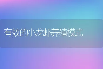 有效的小龙虾养殖模式