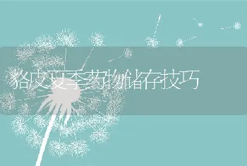 泥鳅高效养殖技术