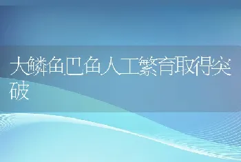 大鳞鱼巴鱼人工繁育取得突破