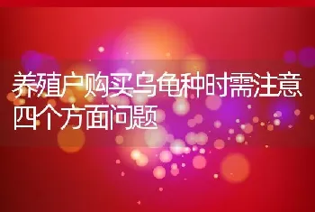 养殖户购买乌龟种时需注意四个方面问题