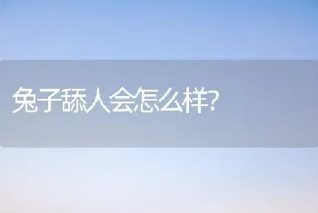 兔子舔人会怎么样？