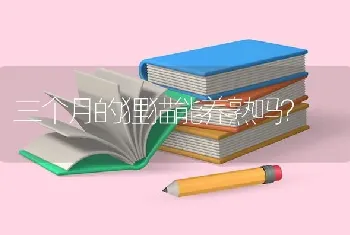 三个月的狸猫能养熟吗？