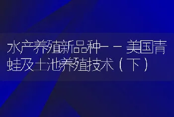 水产养殖新品种--美国青蛙及土池养殖技术（下）