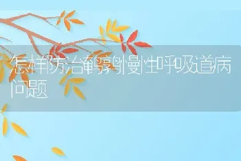 怎样防治鹌鹑慢性呼吸道病问题